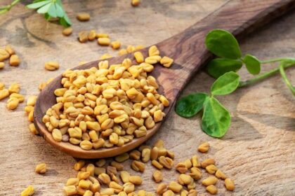 Fenugreek