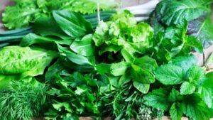 Leafy Vegetables