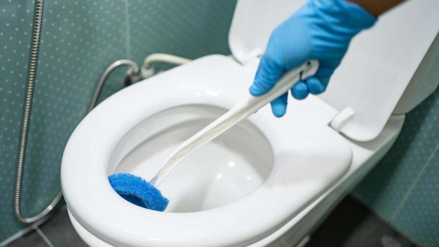Toilet Cleaning