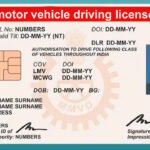 driving license grading points