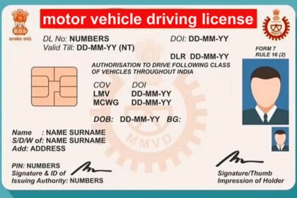 driving license grading points