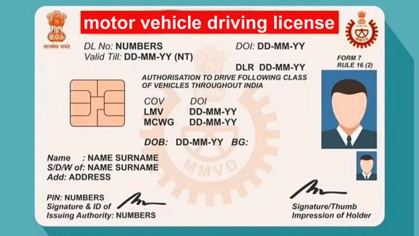 driving license grading points
