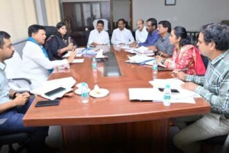 Paddy storage warehouses |