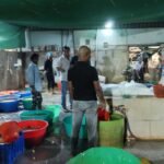 Adulterated Food Seizure