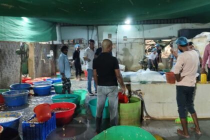 Adulterated Food Seizure