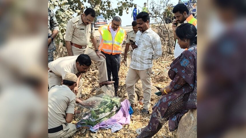 Bus Accident Parrots Rescued