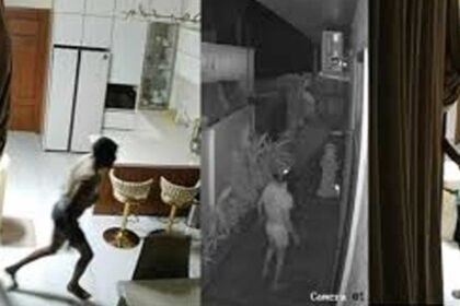 Cheddi Gang in Tirupathi