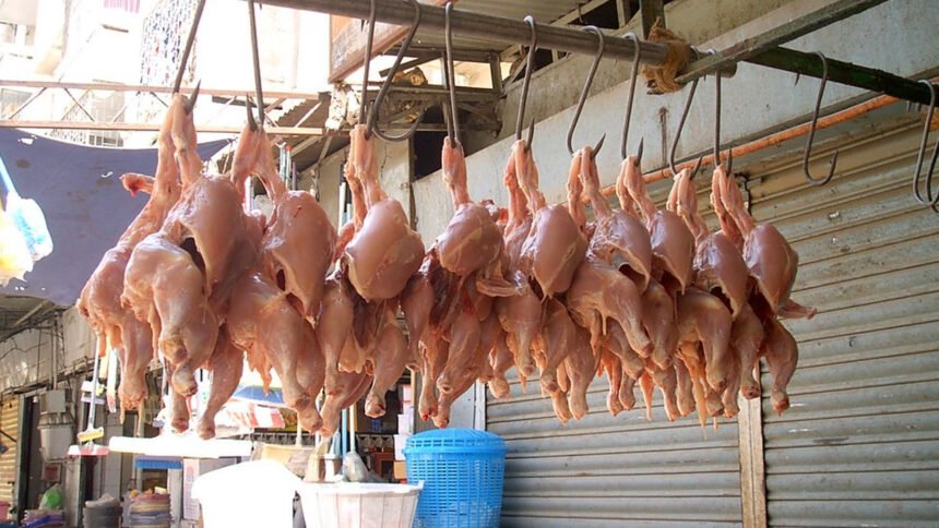 Chicken Shops Bandh
