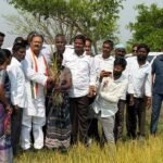 Farmers Compensation