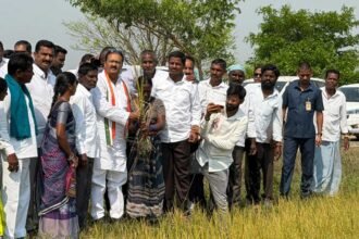 Farmers Compensation