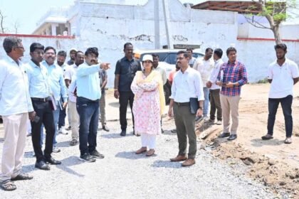 Godavari Pushkaralu Arrangements