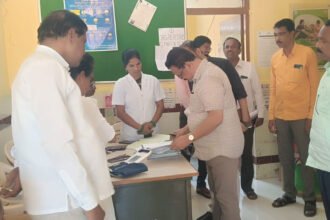 Government Hospital Deliveries