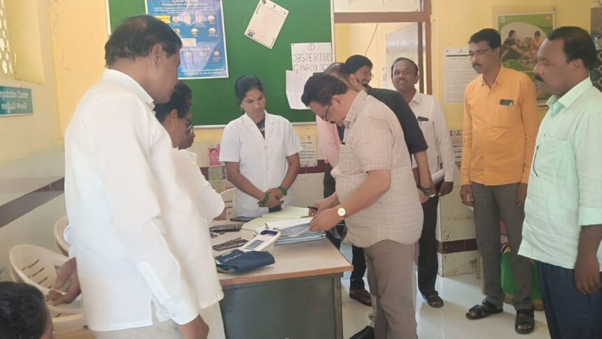 Government Hospital Deliveries