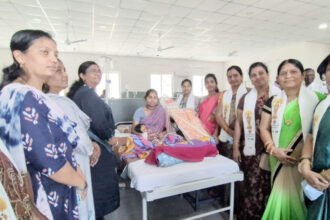 IVF Services Praised