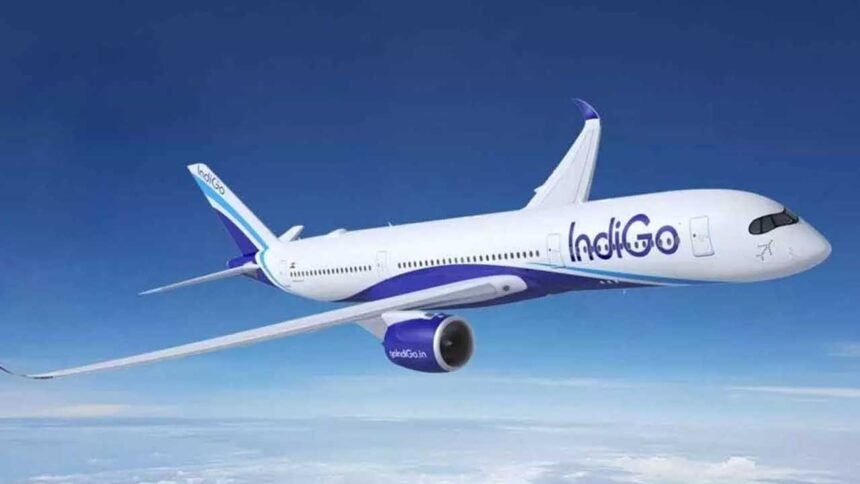 IndiGo Flight Services