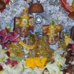 Lakshmi Narasimha Dolotsavam