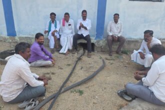 Lambadi Protest Arrests