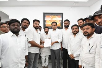 Licensed Surveyors Wages