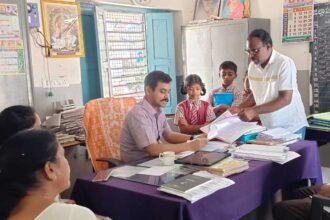 School Attendance Improvement