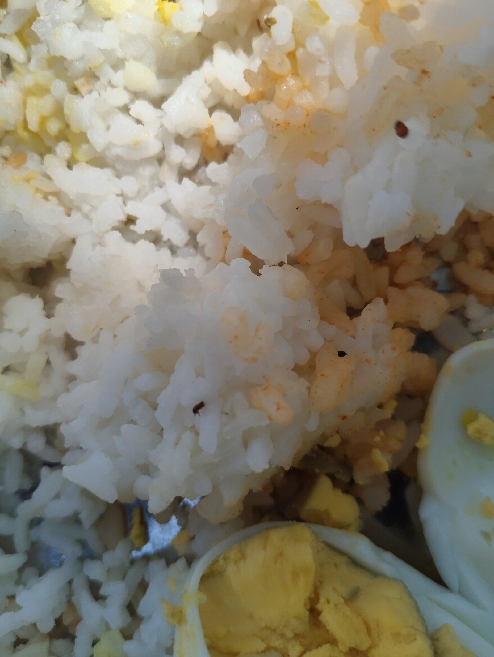 WhatsApp Image 2026 03 06 at 9.21.24 PM scaled