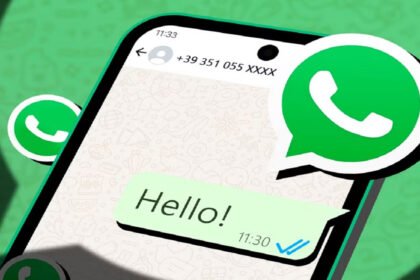 WhatsApp Username Feature