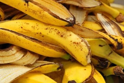Banana Peel | అరటి తొక్క.. మంచు కంటే ప్రమాదమట.. ఎందుకంటే!