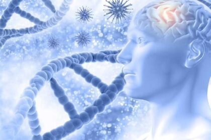 Paralysis Warning Signs | పక్షవాతం.. శరీరం ఇచ్చే వార్నింగ్ సిగ్నల్స్ ఇవే!