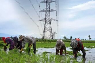 Telangana Rythu DISCOM | ఇక మూడో డిస్కం.. ‘తెలంగాణ రైతు పవర్ డిస్ట్రిబ్యూషన్ కంపెనీ లిమిటెడ్’కు ఆమోదం