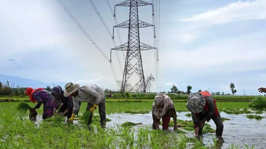 Telangana Rythu DISCOM | ఇక మూడో డిస్కం.. ‘తెలంగాణ రైతు పవర్ డిస్ట్రిబ్యూషన్ కంపెనీ లిమిటెడ్’కు ఆమోదం