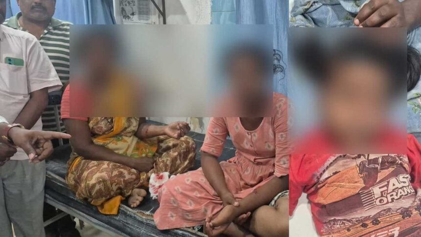 Stray Dog Attack : పిచ్చి కుక్కల బీభత్సం.. ఆరుగురిపై దాడి.. బాధితుల్లో ఇద్దరు చిన్నారులు 1 Stray Dog Attack : పిచ్చి కుక్కల బీభత్సం.. ఆరుగురుపై దాడి.. బాధితుల్లో ఇద్దరు చిన్నారులు