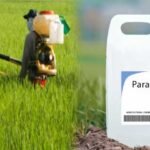 Paraquat Ban Telangana