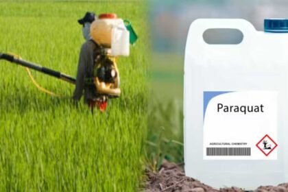 Paraquat Ban Telangana