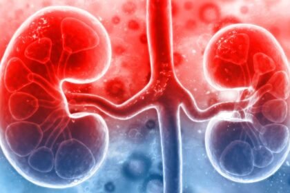 Kidney Disease | కిడ్నీలు పాడవుతున్నాయని చెప్పే 'రెడ్ సిగ్నల్స్' ఇవే.. ఈ లక్షణాలను నిర్లక్ష్యం చేస్తే డేంజరే!