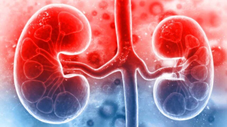 Kidney Disease | కిడ్నీలు పాడవుతున్నాయని చెప్పే 'రెడ్ సిగ్నల్స్' ఇవే.. ఈ లక్షణాలను నిర్లక్ష్యం చేస్తే డేంజరే!