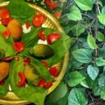 Betel Leaves Dream | కలలో తమలపాకు కనిపిస్తే ఫలితం ఏమిటి.. స్వప్న శాస్త్రం చెబుతున్న నిజం ఇదే!
