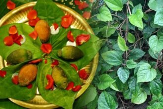 Betel Leaves Dream | కలలో తమలపాకు కనిపిస్తే ఫలితం ఏమిటి.. స్వప్న శాస్త్రం చెబుతున్న నిజం ఇదే!
