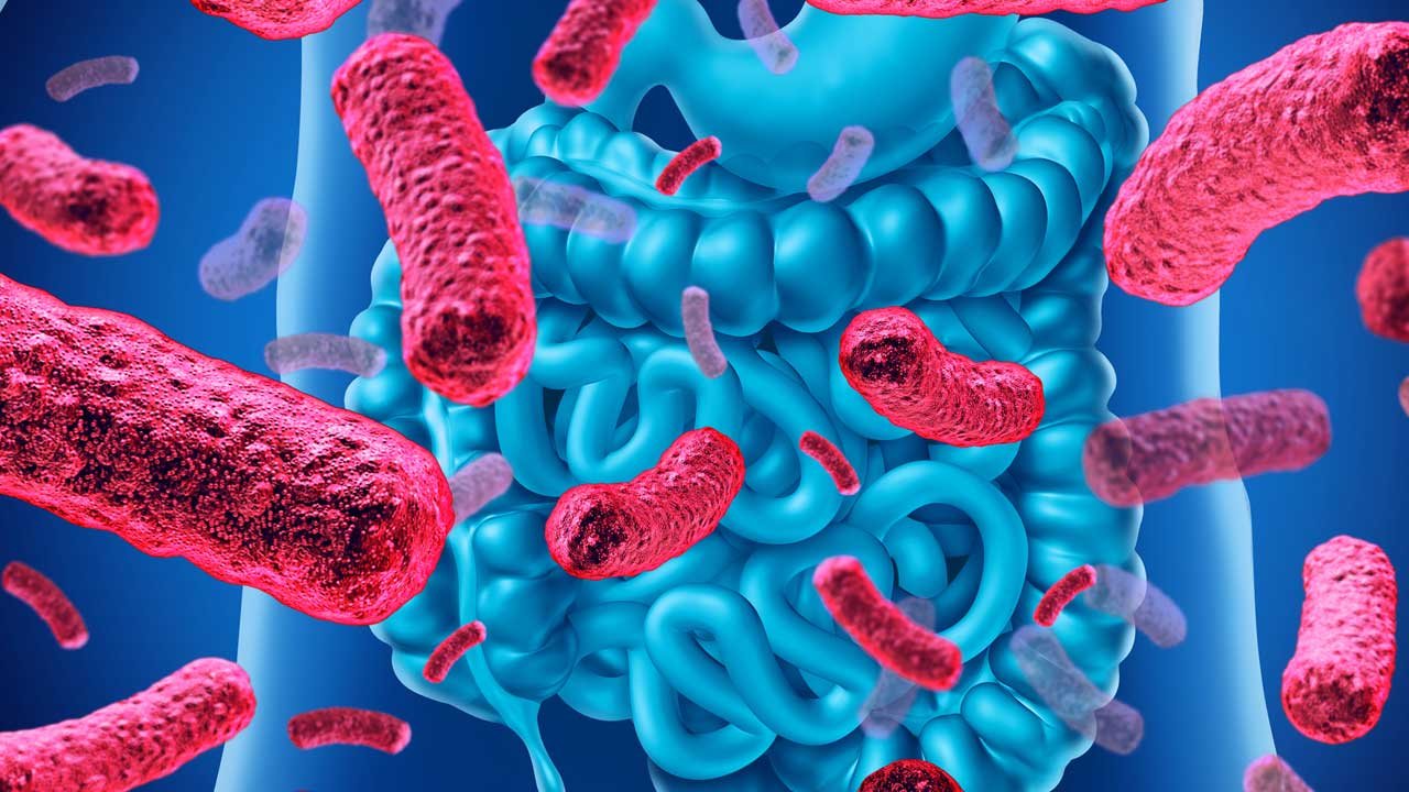 Probiotics for Women | మహిళల ఆరోగ్యానికి 'ప్రొబయోటిక్స్'.. ఇవి చేసే మేలు తెలిస్తే ఆశ్చర్యపోతారు!