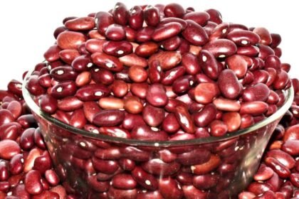 Rajma Health Benefits | మాంసాహారానికి ప్రత్యామ్నాయం.. ప్రొటీన్‌కు రారాజు రాజ్మా