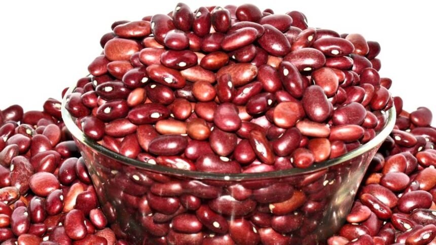 Rajma Health Benefits | మాంసాహారానికి ప్రత్యామ్నాయం.. ప్రొటీన్‌కు రారాజు రాజ్మా