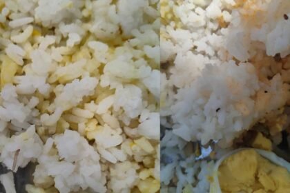 Worms in Midday Meal | మధ్యాహ్న భోజనంలో పురుగులు..