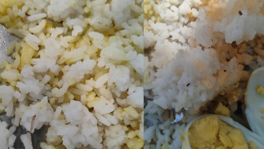 Worms in Midday Meal | మధ్యాహ్న భోజనంలో పురుగులు..