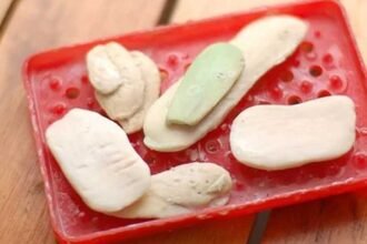 Soap Scrap Uses | సబ్బు చిన్న ముక్కలు పారేస్తున్నారా.. వీటి లాభాలు తెలిస్తే ఆశ్చర్యపోవాల్సిందే!