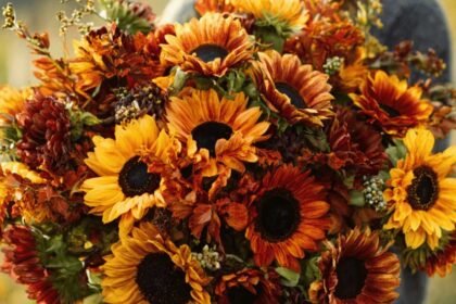 Sunflower Seeds Beauty | సన్‌ఫ్లవర్ గింజలతో ఇలా చేస్తే.. మీ అందం రెట్టింపు అవ్వడం ఖాయం!