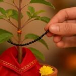 Tulsi Red Thread | తులసి మొక్కకు ఎరుపు దారం కడుతున్నారా? ఇలా చేస్తే ఏం జరుగుతుందో తెలుసా?