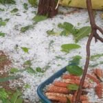 Unseasonal Rain Damage | వడగళ్లు.. పిడుగులు.. అకాల వర్షాలతో అతలాకుతలం!