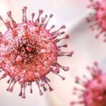 BA.3.2 Variant | న్యూయార్క్‌లో కొత్త కొవిడ్ వేరియంట్ BA.3.2 గుర్తింపు.. ప్రజల్లో ఆందోళన