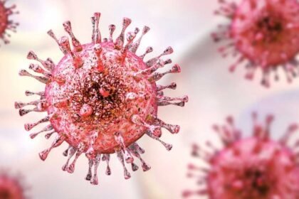 BA.3.2 Variant | న్యూయార్క్‌లో కొత్త కొవిడ్ వేరియంట్ BA.3.2 గుర్తింపు.. ప్రజల్లో ఆందోళన