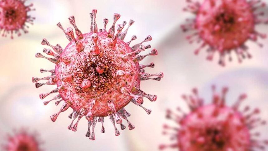 BA.3.2 Variant | న్యూయార్క్‌లో కొత్త కొవిడ్ వేరియంట్ BA.3.2 గుర్తింపు.. ప్రజల్లో ఆందోళన