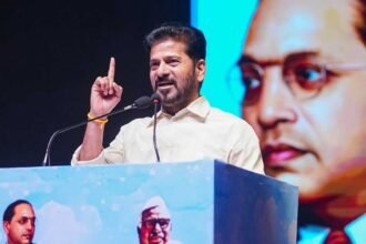 SC Categorization Support