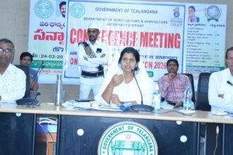 Oil Palm Cultivation |